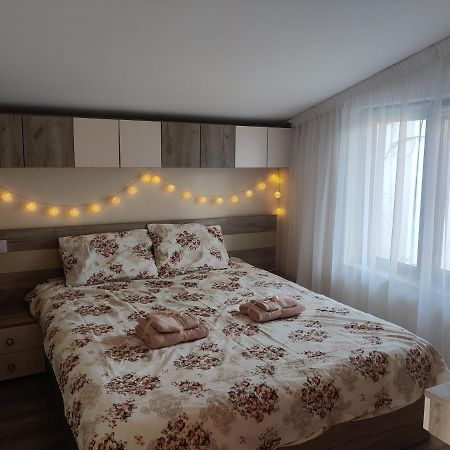 Zen Studio Slatina 斯拉蒂纳 外观 照片